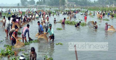 হারিয়ে যাচ্ছে নড়াইলের ঐতিহ্যবাহী পলো বাইচ!