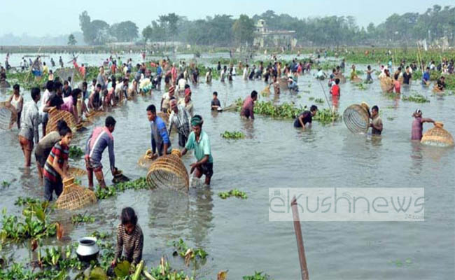 হারিয়ে যাচ্ছে নড়াইলের ঐতিহ্যবাহী পলো বাইচ!