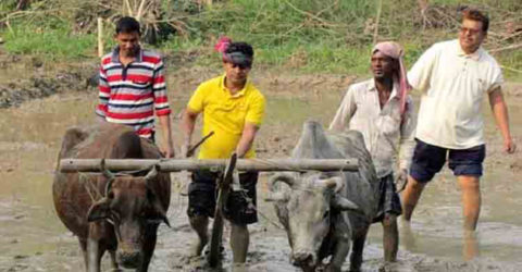 নড়াইলের পুলিশ সুপার মাথায় গামছা বেধে জমি চাষ করছেন!