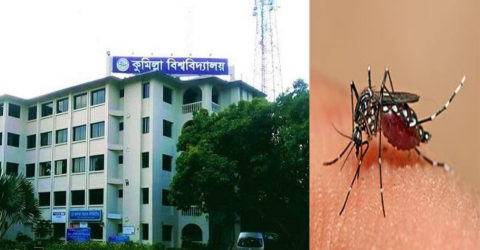 কুবিতে মশার উপদ্রবে অতিষ্ঠ শিক্ষার্থীরা