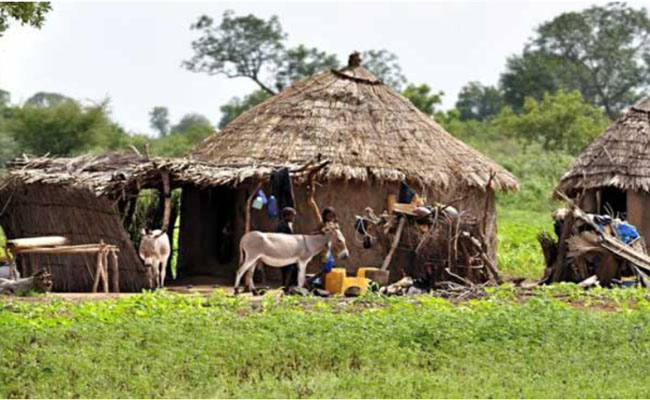 মালিতে বন্দুকধারীদের ভয়বহ হামলা, নিহত ১৩৪