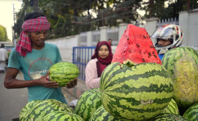 বাজারে রসালো তরমুজ, চলছে রমরমা ব্যবসা