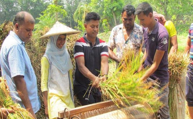 নড়াইলে ধান সিদ্ধ করে শুকিয়ে পুলিশ সদস্যকে নিয়ে নবান্ন উৎসব