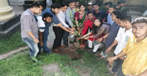 জবিতে ছাত্রলীগ নেতার উদ্যোগে বৃক্ষ রোপণ